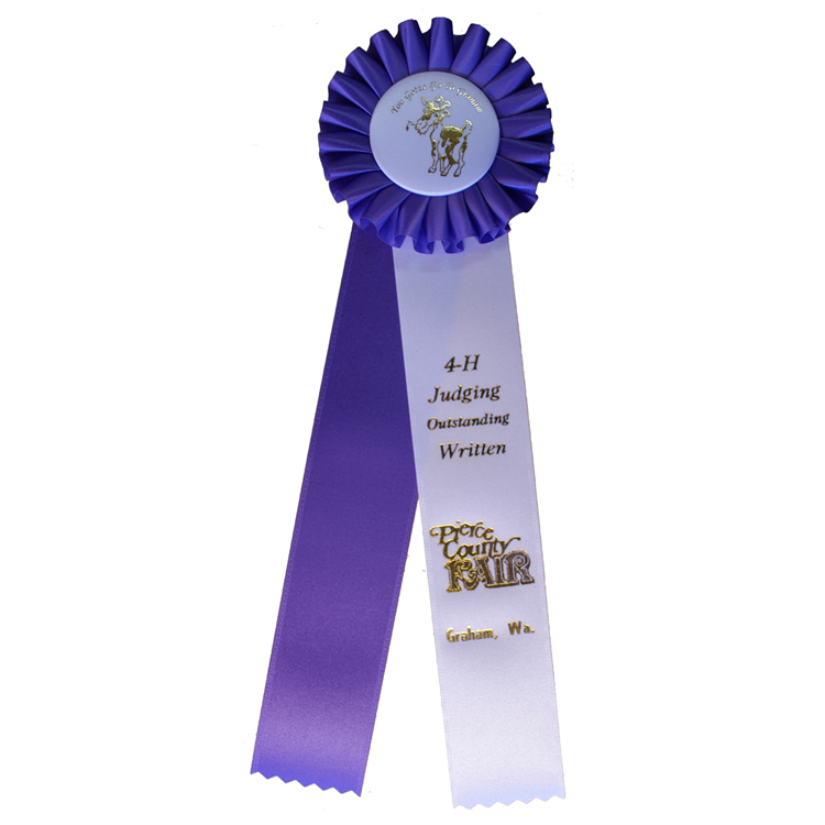 Clear Ribbon Design #5 - Clearview Ribbon Co Inc.